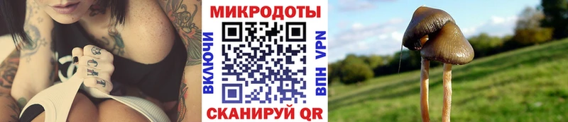 наркошоп  Киров  Псилоцибиновые грибы MAGIC MUSHROOMS 
