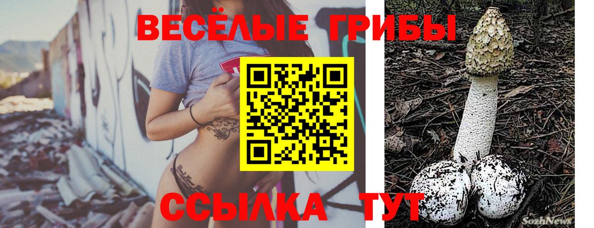 Киров  Галлюциногенные грибы мицелий  Галлюциногенные грибы Psilocybe  закладки  Вход с VPN 